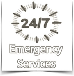 Emergency-Services